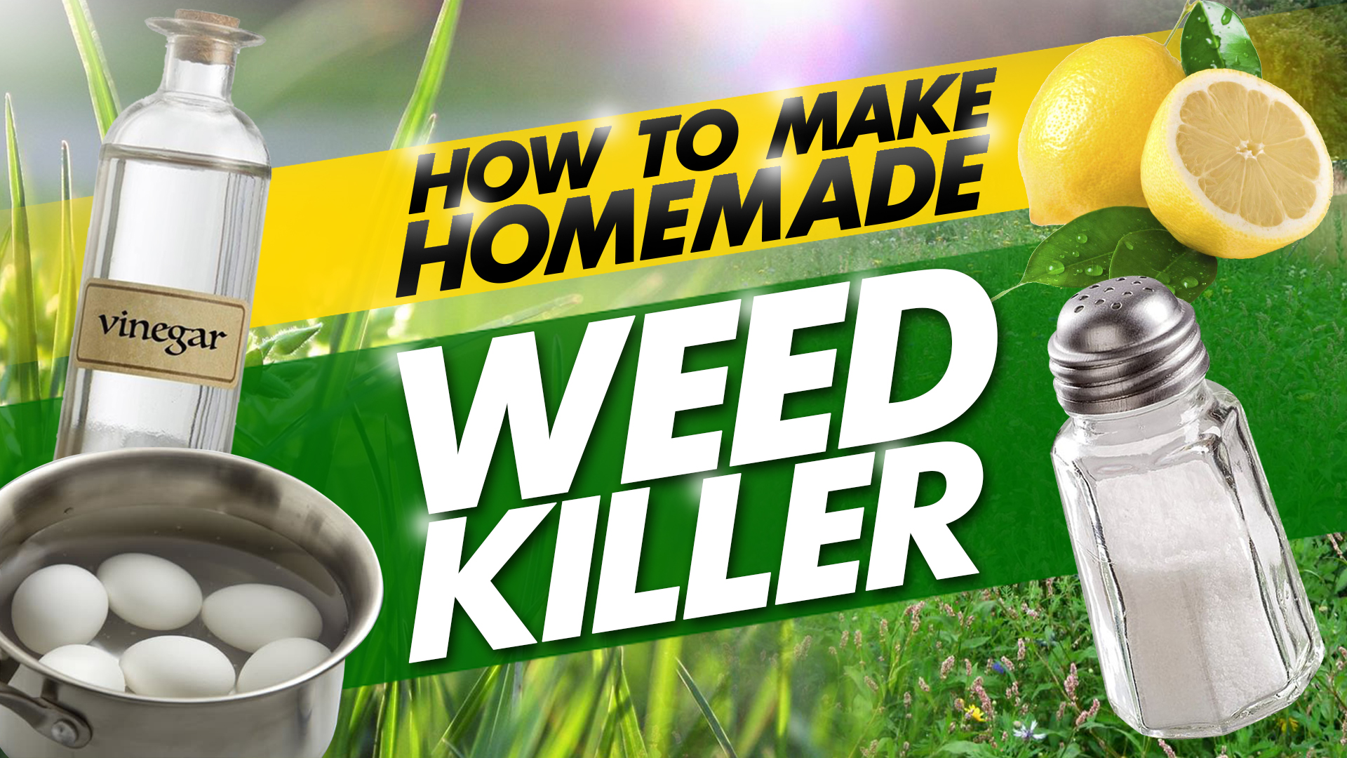 how to make homemade weed killer