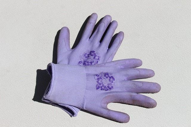 pair of gloves