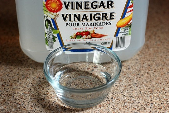 Vinegar + Salt Weed Killer