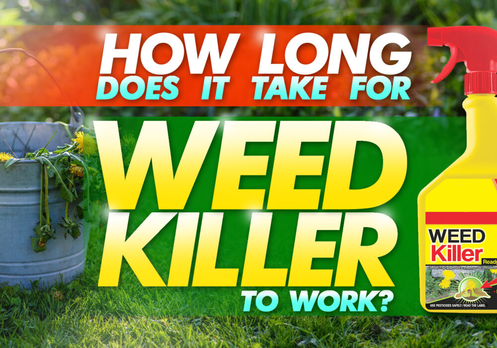 how long does it take for weed killer to work