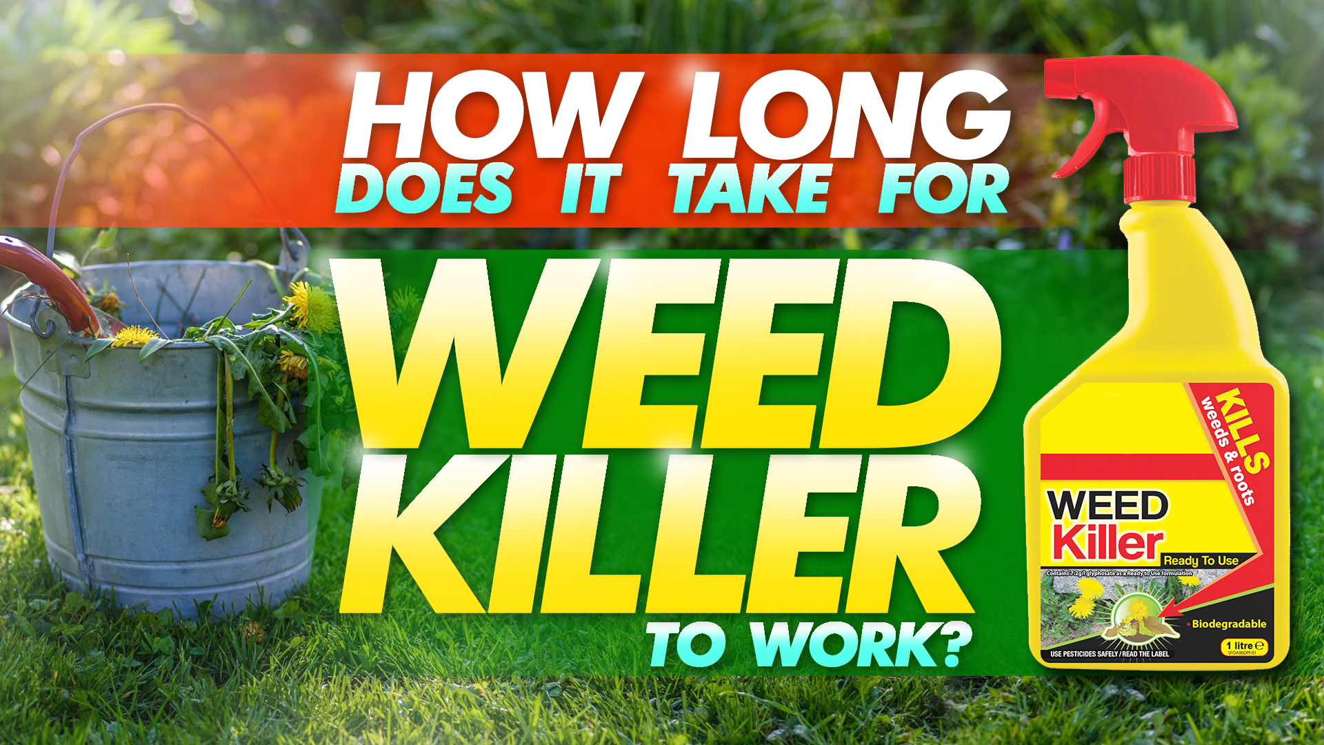 how long does it take for weed killer to work