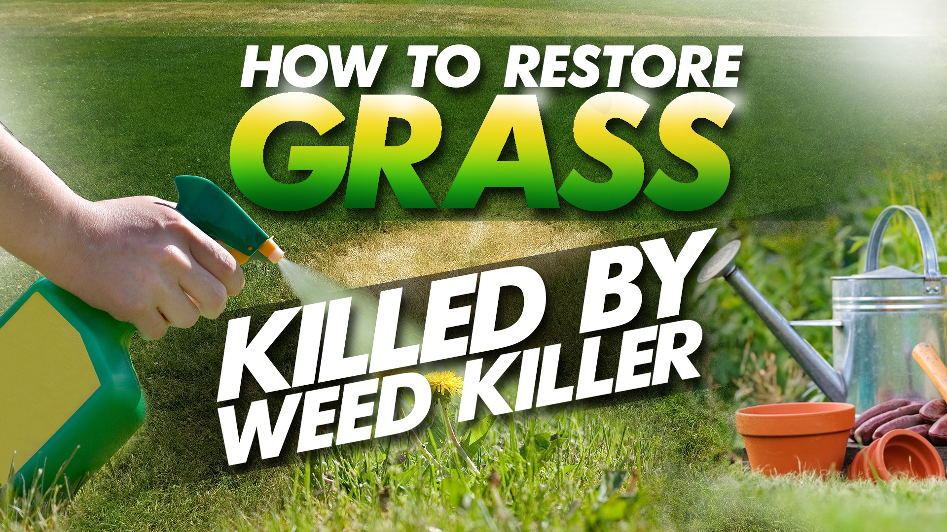 how to restore grass killed by weed killer