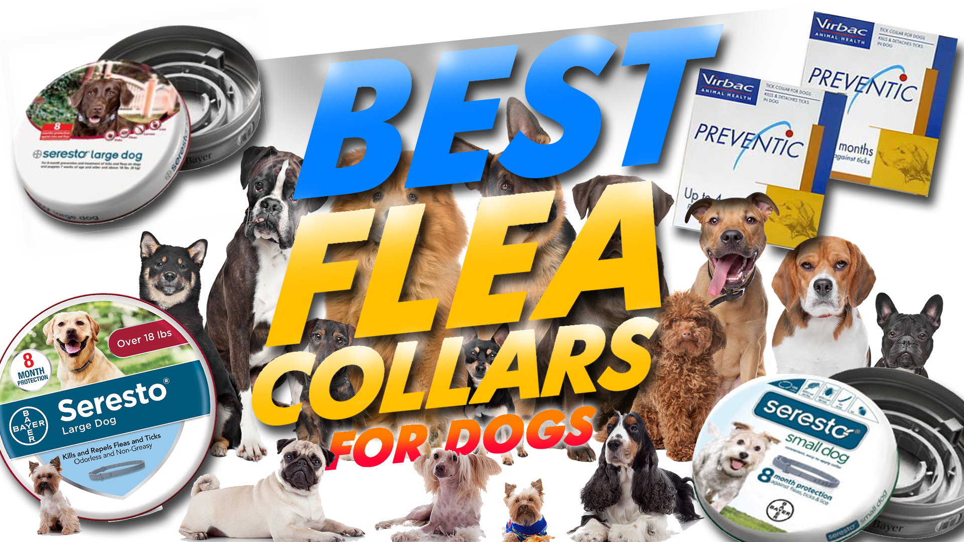 Best Flea Collars For Dogs