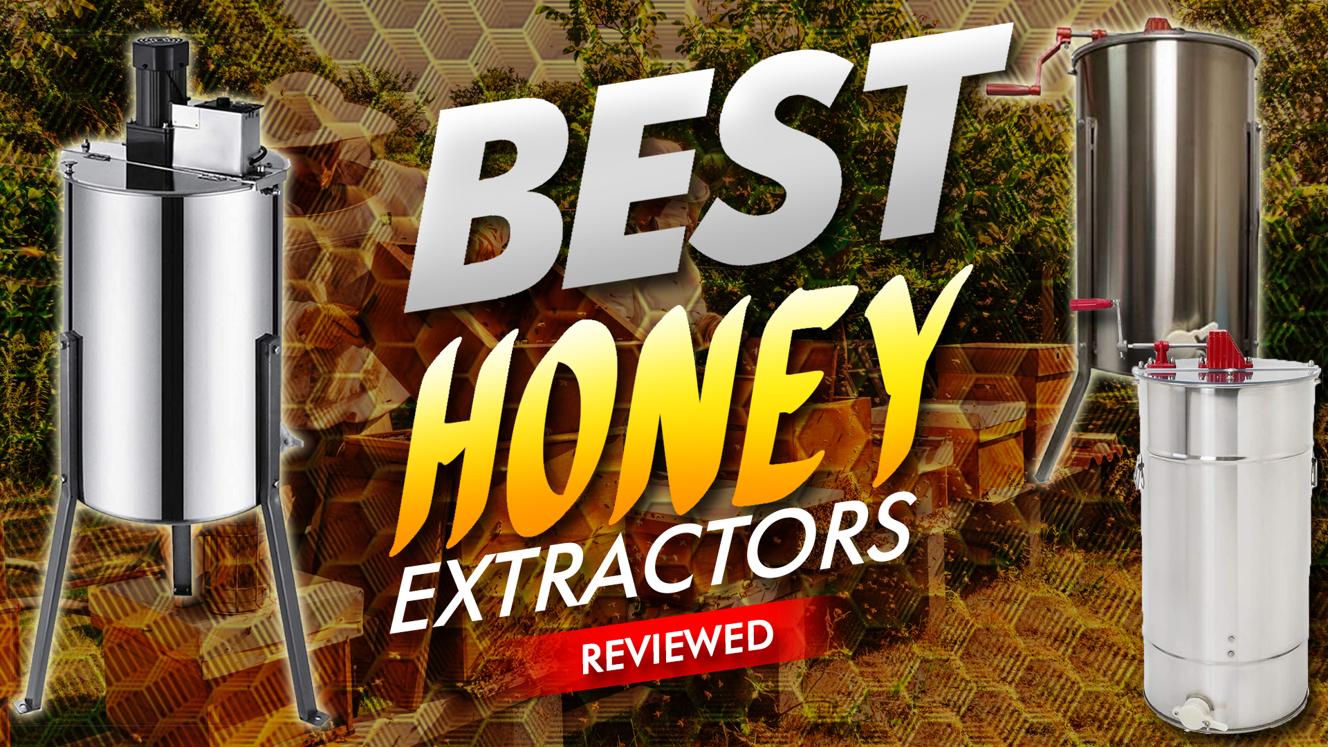 Best Honey Extractors Reviewed