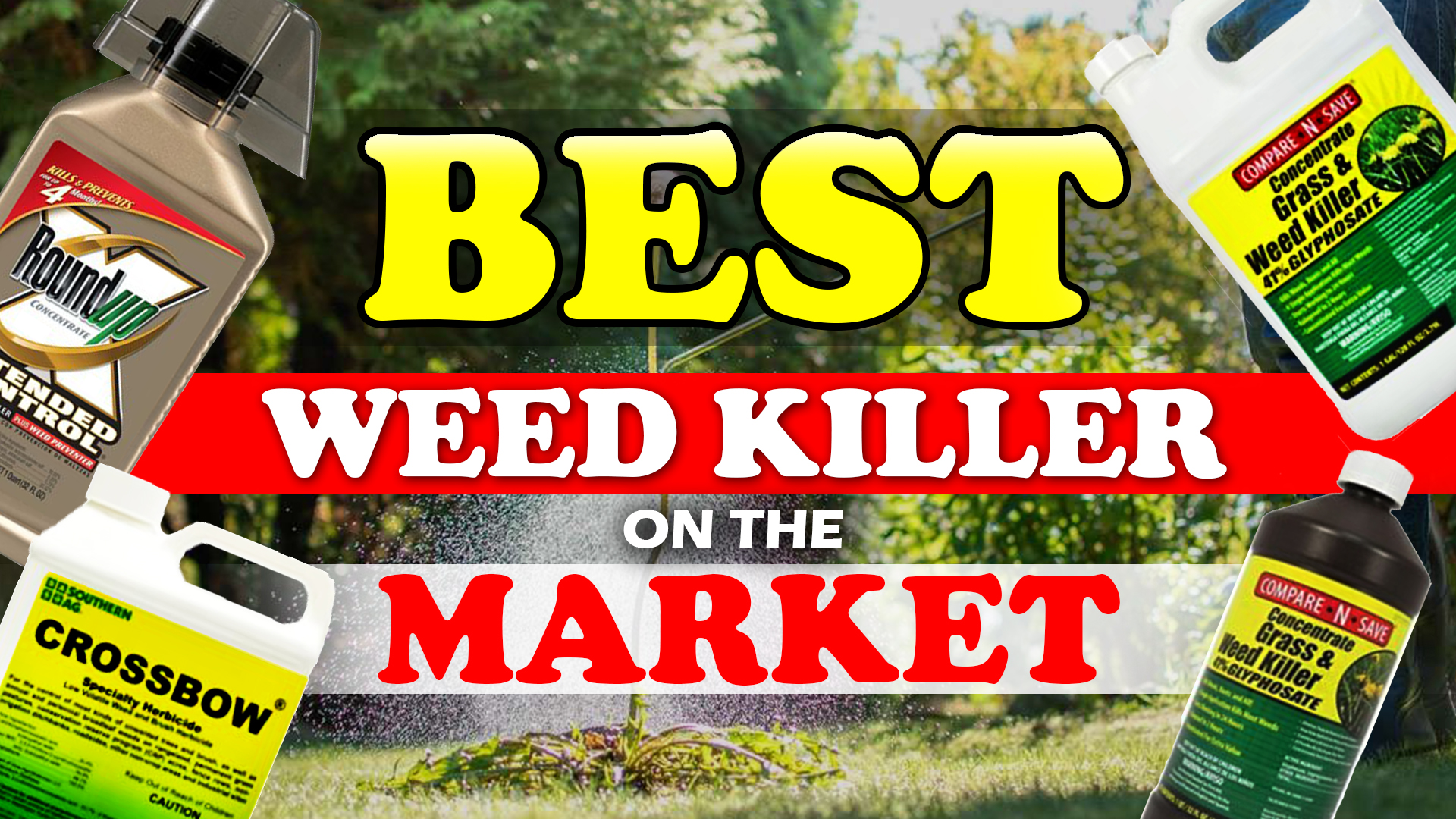 Best Weed Killer Reviews (Definitive Guide 2024)