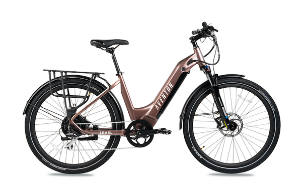 Ebikes For V Day